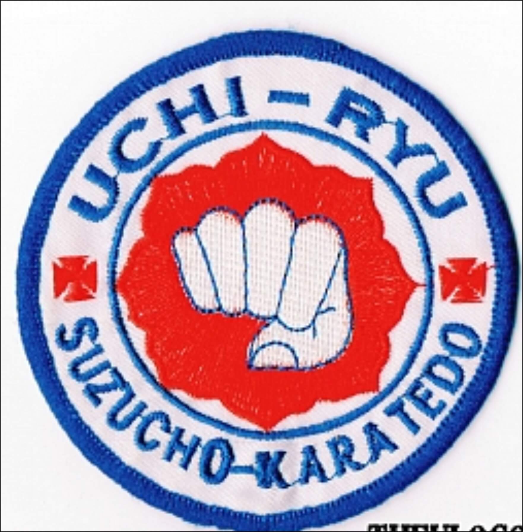 LOGO VÕ 5