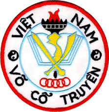 LOGO VÕ 6