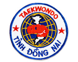 LOGO VÕ 4
